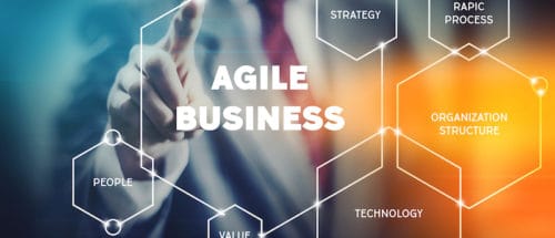 Image result for business agility images